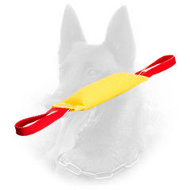 Amazing Belgian Malinois Bite Tug of French Linen Material