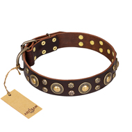 'Flower Melody' FDT Artisan Belgian Malinois Brown Leather Dog Collar with Mixed Studs