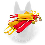 Ultimate Belgian Malinois Training Set + Bonus