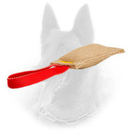 Jute Puppy Belgian Malinois Bite Tug
