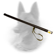 Ideal Agitation Belgian Malinois for Professional Training