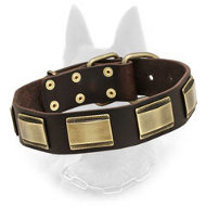 Stylish Belgian Malinois Leather Collar with Brass Plates Decoration