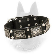Fashionable War Belgian Malinois Collar with Nickel Plates and Pyramids