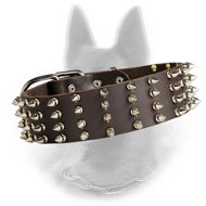 Spiked Belgian Malinois Leather Collar 2 inch Width