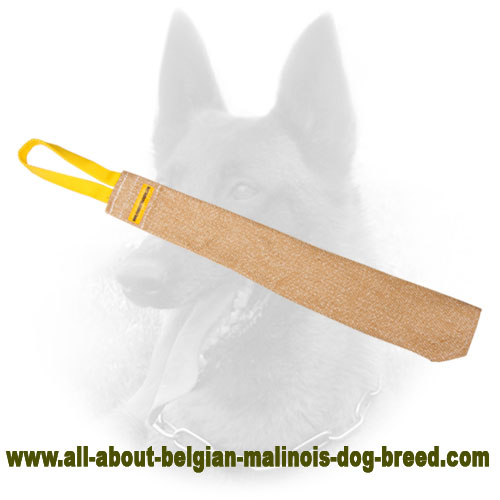 Classy Jute Belgian Malinois Bite Rag