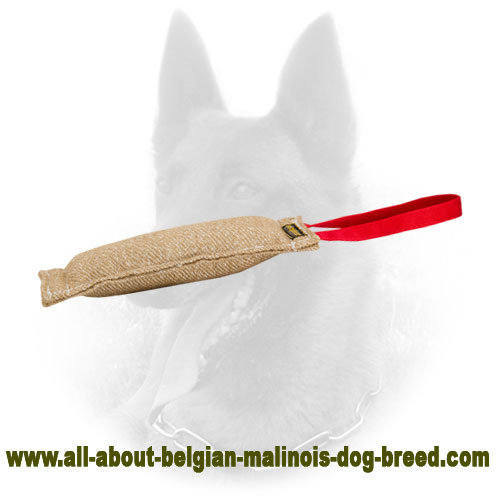 Jute Belgian Malinois Bite Tag of safe Material