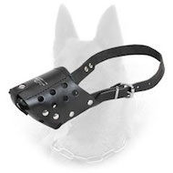 Belgian Malinois Leather Dog Muzzle for Everyday Walking