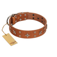 "Dreamy Gleam" FDT Artisan Tan Leather Belgian Malinois Collar Adorned with Stars and Squares