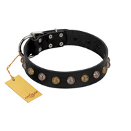 "Inky Prettification" FDT Artisan Black Leather Belgian Malinois Collar with One Row of Studs