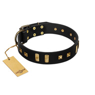 "Fit for Royalty" FDT Artisan Black Leather Belgian Malinois Collar with Plates and Small Square Studs