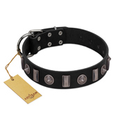 "Silver Spikes" Exclusive FDT Artisan Black Leather Belgian Malinois Collar
