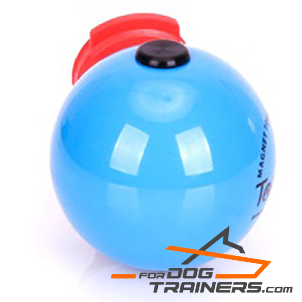 Blue dog ball for Training
