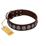 "Charming Circles" FDT Artisan Brown Leather Belgian Malinois Collar with Silver-like Studs