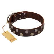 &#34;Shadow Warrior&#34; FDT Artisan Mystic Brown Leather Belgian Malinois Collar with Runes