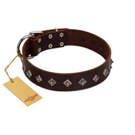 "Boundless Energy" Premium Quality FDT Artisan Brown Designer Leather Belgian Malinois Collar with Small Pyramids