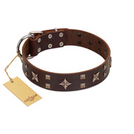 "Stars in Sands" Modern FDT Artisan Brown Leather Belgian Malinois Collar with Studs and Stars