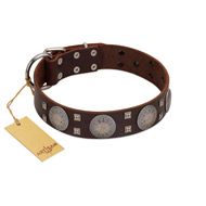 "Sun in Barchans" Modern FDT Artisan Brown Leather Belgian Malinois Collar with Engraved Stars on Round Plates and Studs