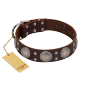 &#34;Imperial Legate&#34; FDT Artisan Brown Leather Belgian Malinois Collar with Big Round Plates