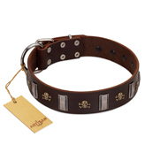 "War Chief" FDT Artisan Genuine Brown Leather Belgian Malinois Collar with Skulls and Plates