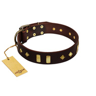 "Blinking Illusion" FDT Artisan Brown Leather Belgian Malinois Collar with Old Bronze-like Studs and Plates