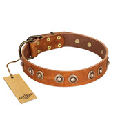 "Precious Relic" FDT Artisan Tan Leather Belgian Malinois Collar Adorned with Old Bronze Look Studs