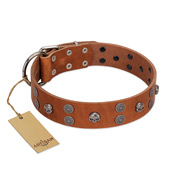 "Road Rider" FDT Artisan Tan Leather Belgian Malinois Collar with Old Silver-like Skulls and Medallions