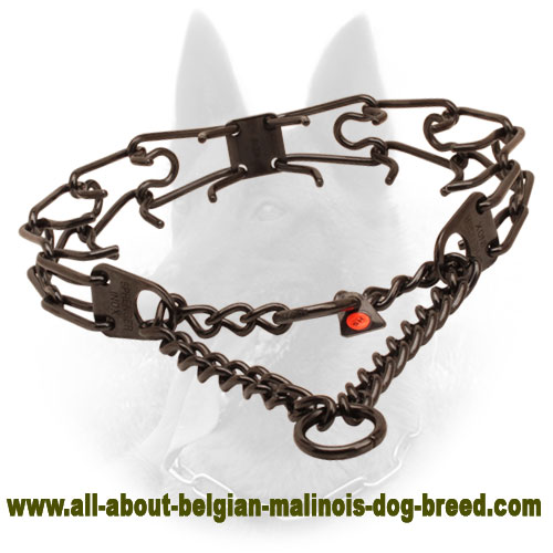 Black Prong Dog Collar of Stainless Steel