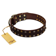 "To the Moon and Back" FDT Artisan Brown Leather Belgian Malinois Collar with Bronze-like Star Studs
