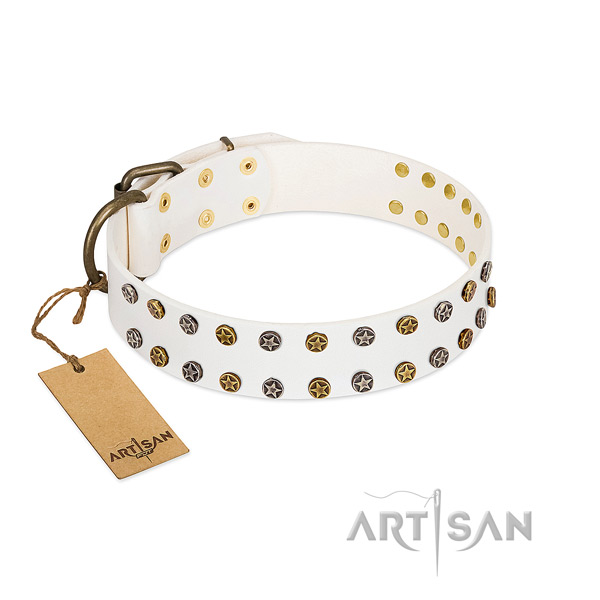 Incredible full grain genuine leather dog collar with rust-proof adornments
