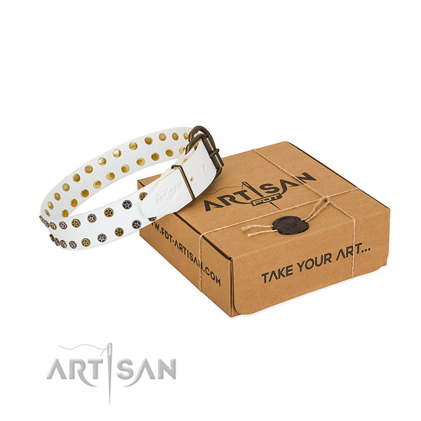 Exceptional natural leather dog collar with rust resistant adornments