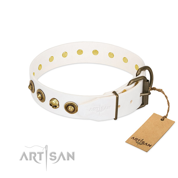 Full grain natural leather collar with awesome studs for your dog