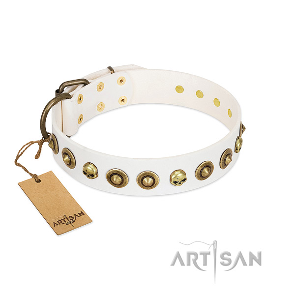 Full grain leather collar with stylish design embellishments for your doggie