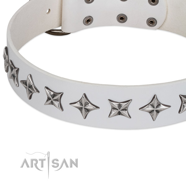 Basic training embellished dog collar of strong full grain genuine leather