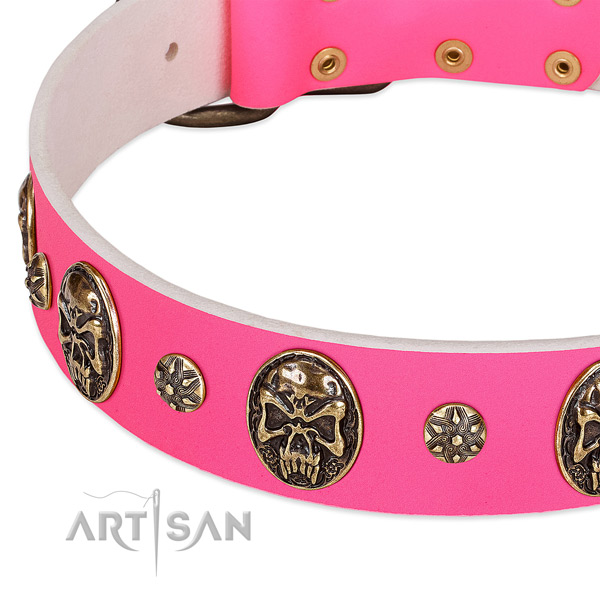 Unique dog collar handcrafted for your attractive four-legged friend