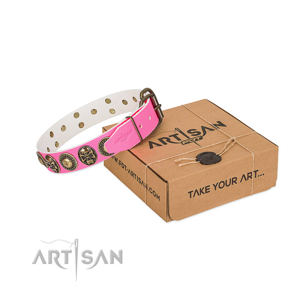 Reliable D-ring on dog collar for everyday walking