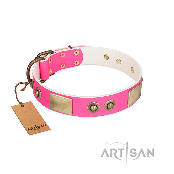 Reliable adornments on leather dog collar for your doggie