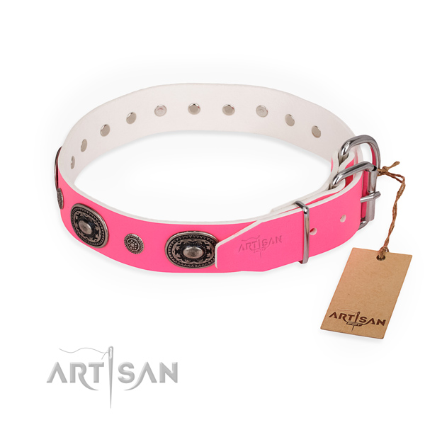 Fancy walking easy wearing dog collar with reliable fittings