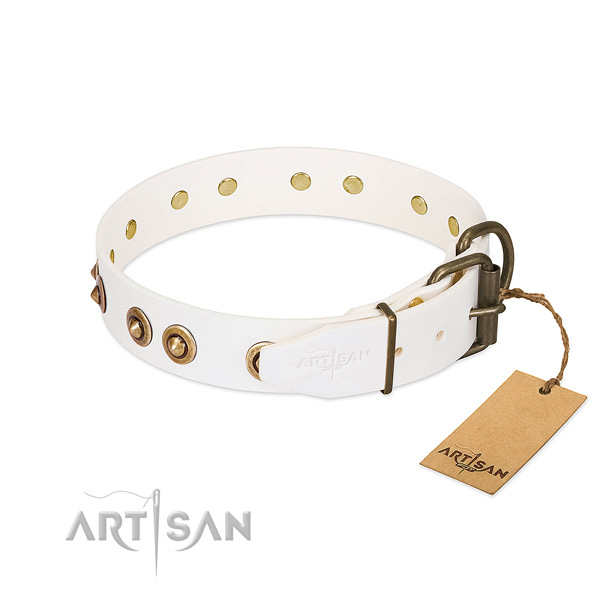 Corrosion proof D-ring on leather dog collar for your dog