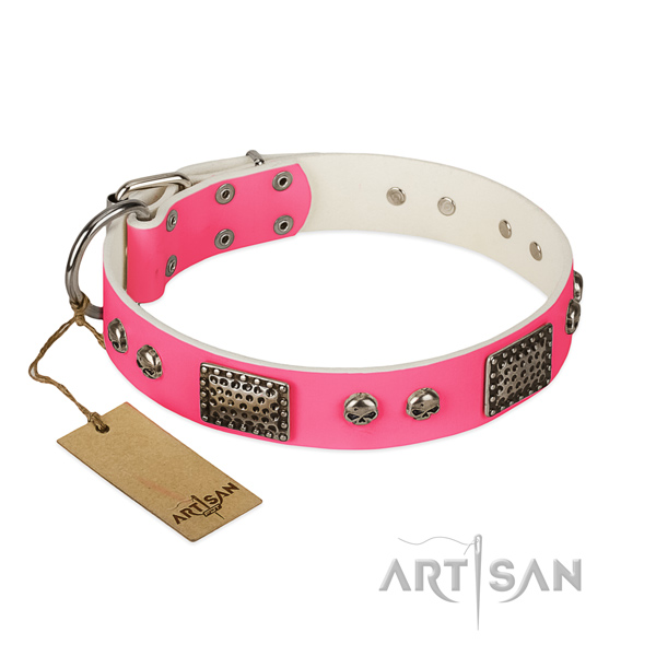 Easy wearing full grain genuine leather dog collar for walking your dog