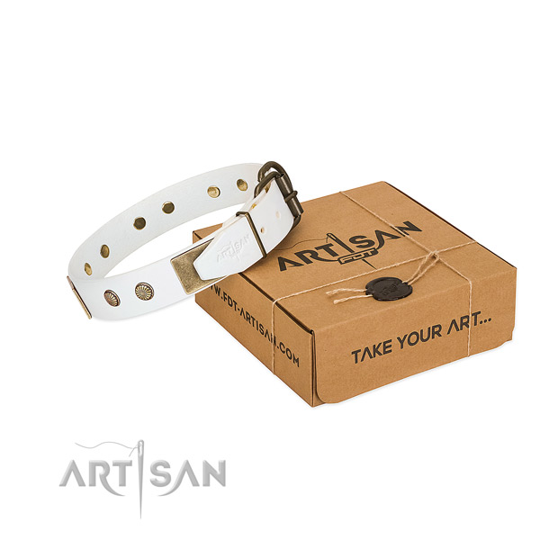 Corrosion resistant buckle on dog collar for easy wearing