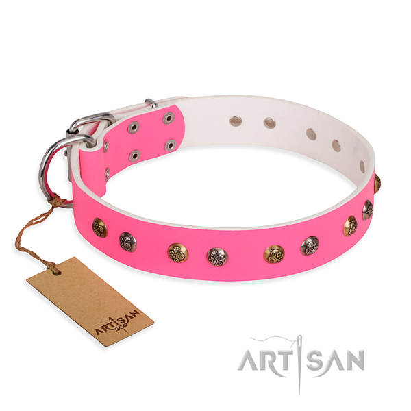 Daily walking studded dog collar with durable traditional buckle