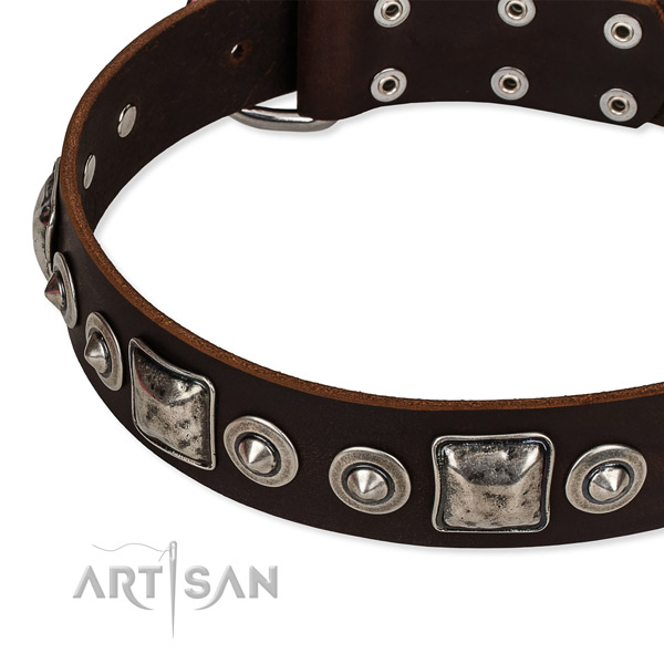 Full grain natural leather dog collar made of high quality material with studs