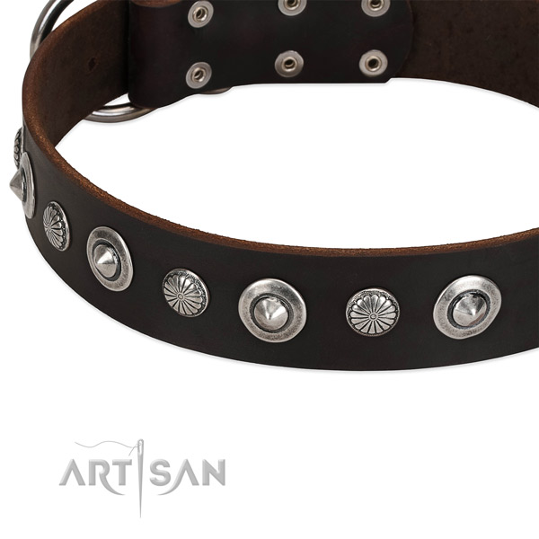 Designer embellished dog collar of top quality natural leather
