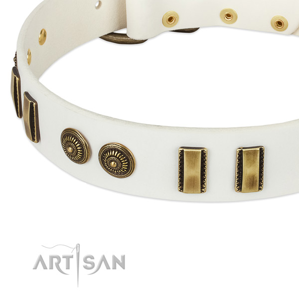 Corrosion proof traditional buckle on leather dog collar for your canine
