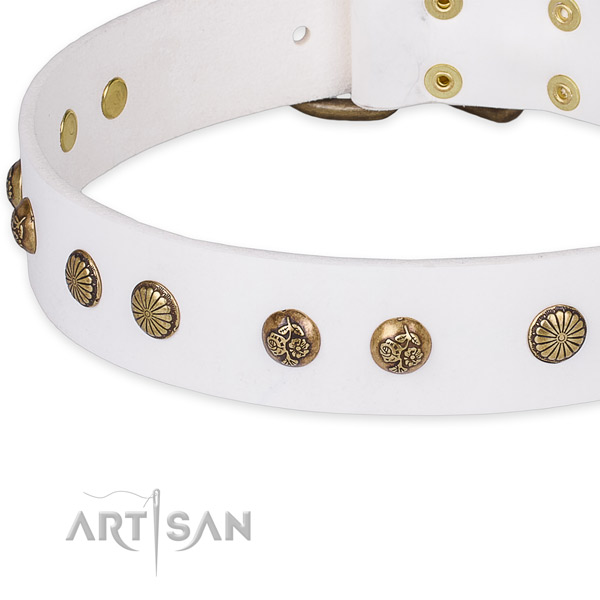 Full grain genuine leather collar with corrosion resistant buckle for your handsome dog