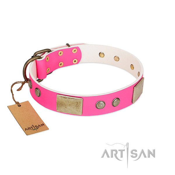 Adjustable full grain genuine leather dog collar for stylish walking your canine