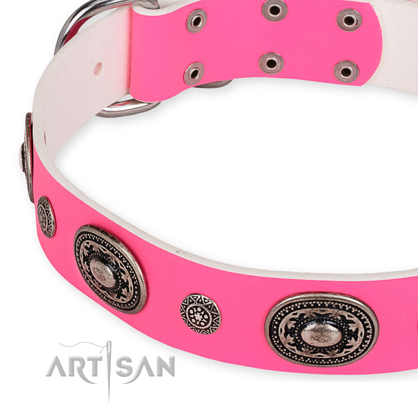 Natural genuine leather dog collar with trendy corrosion resistant adornments