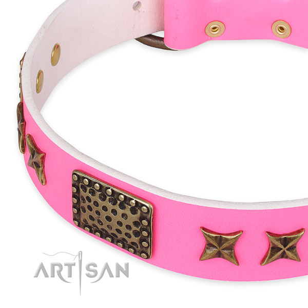 Full grain natural leather collar with strong buckle for your handsome dog