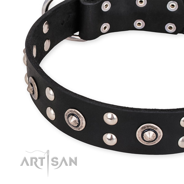 Leather collar with corrosion resistant D-ring for your impressive pet