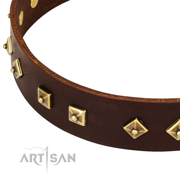 Extraordinary full grain natural leather collar for your handsome canine